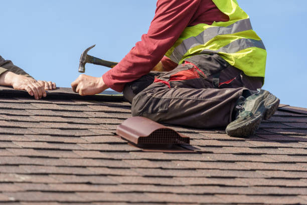 Best Metal Roofing Contractor  in Lake Ssota, WI